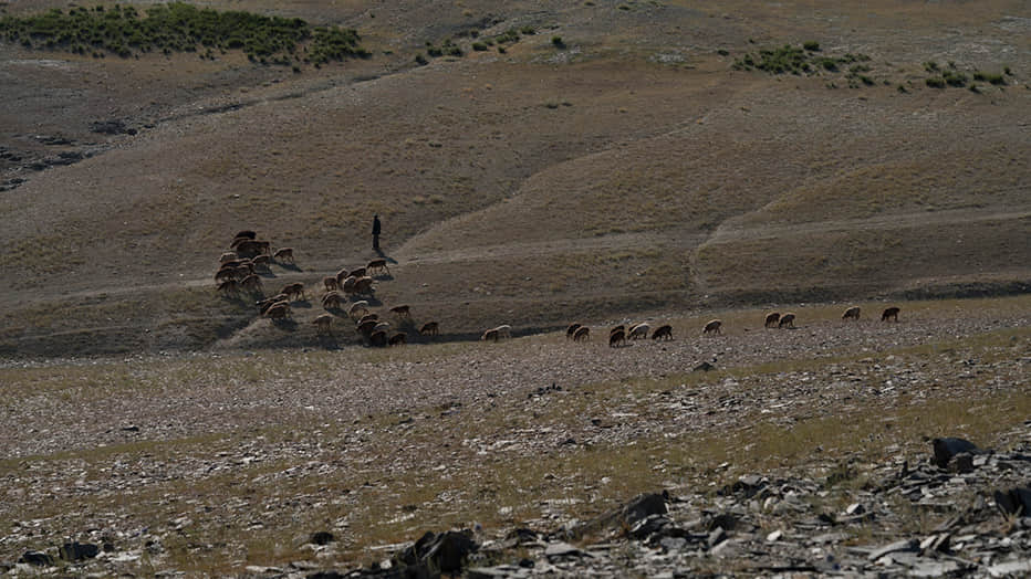 刀峰山下，一位哈萨克牧民赶着羊群，慢悠悠走过。在这片荒无人烟的旷野，他们是小齐和宏义勇闯刀锋山的唯一见证者。